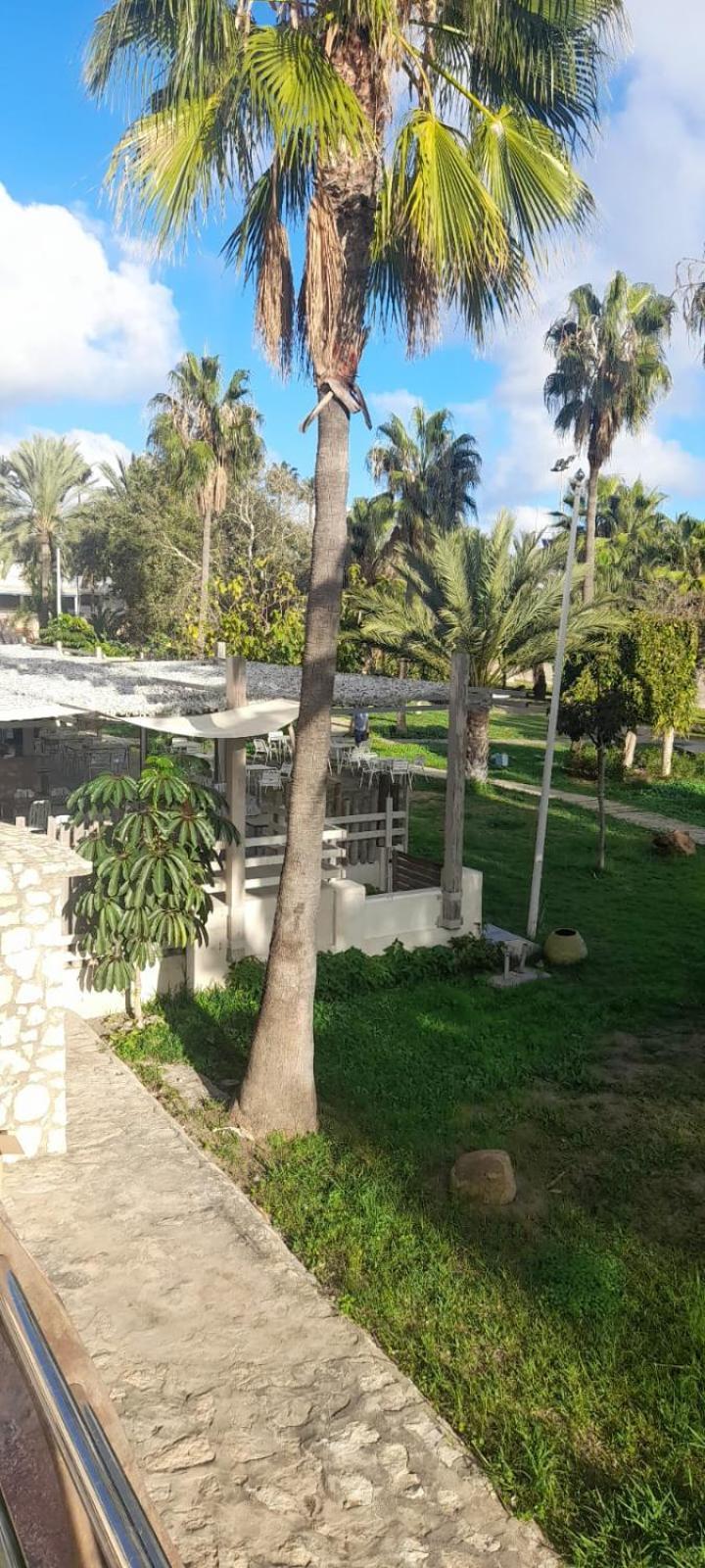 בנאלמדנה Apartamento Pepita Alay מראה חיצוני תמונה
