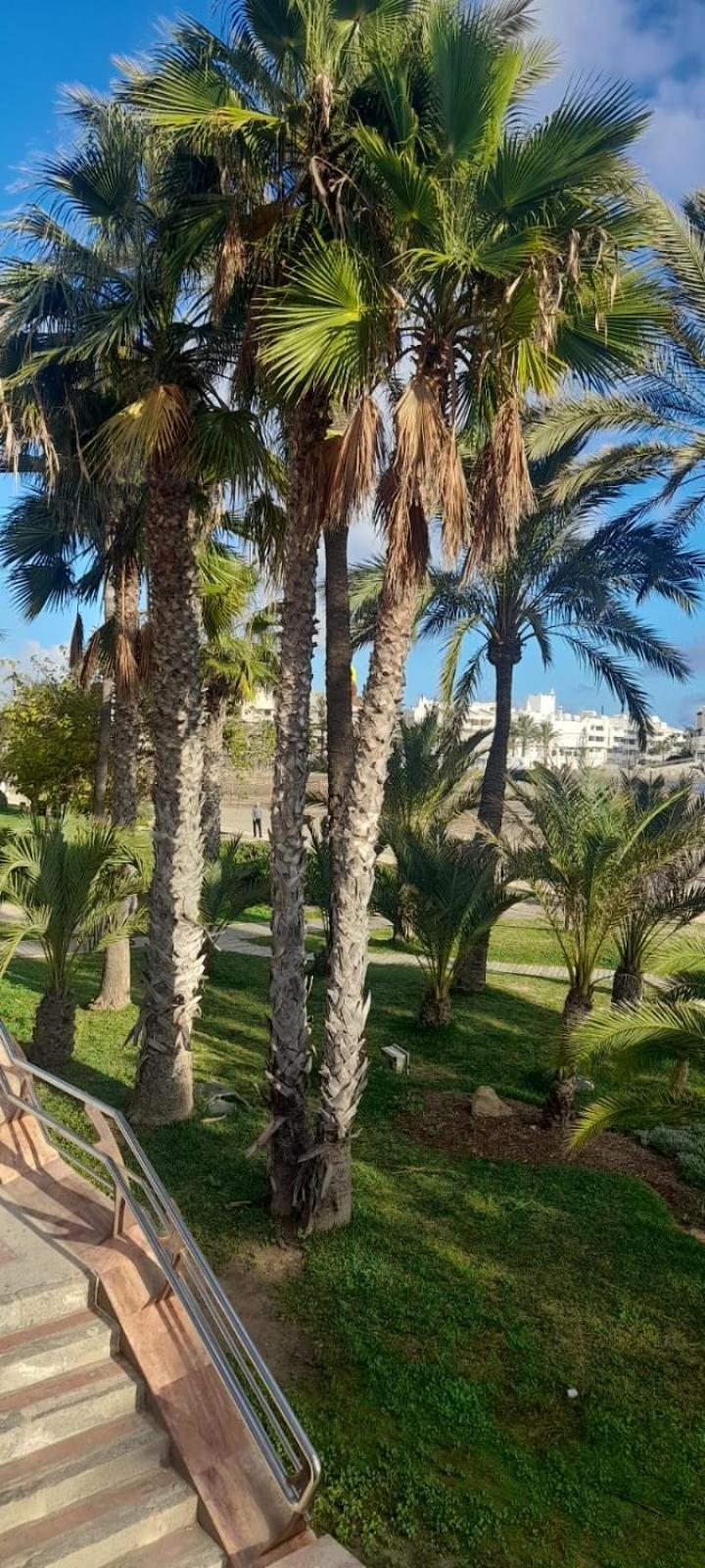 בנאלמדנה Apartamento Pepita Alay מראה חיצוני תמונה